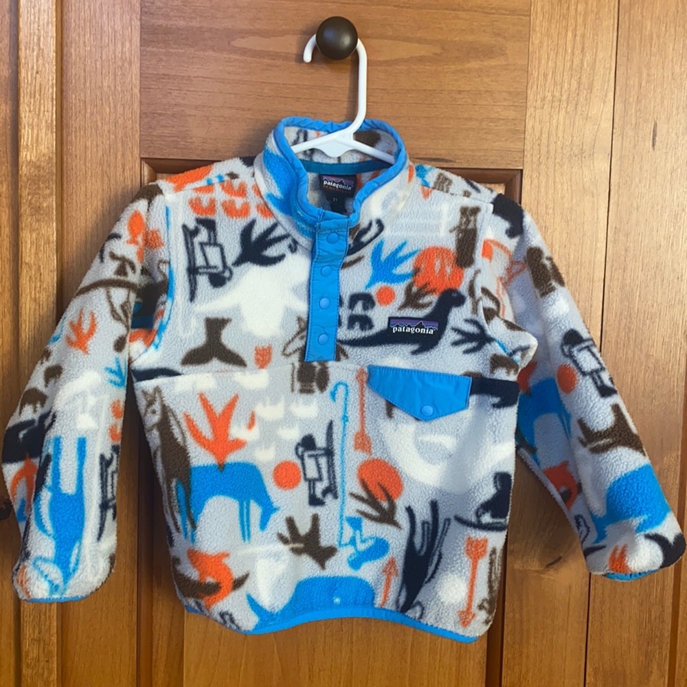 Patagonia Toddler Fleece, 2T